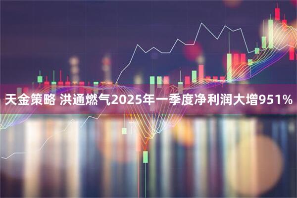 天金策略 洪通燃气2025年一季度净利润大增951%
